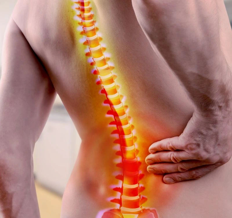Hip replacement surgery Tambaram
