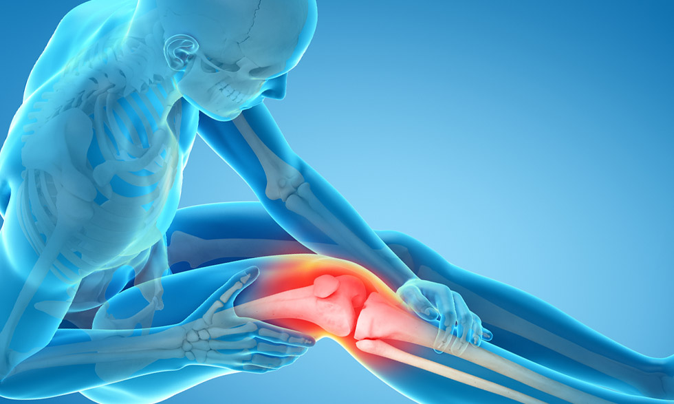 Total Knee/Hip Replacement